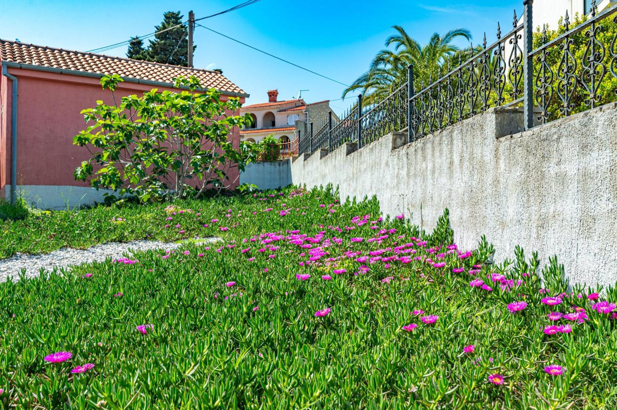 Villa Valentina Premantura Esterno foto